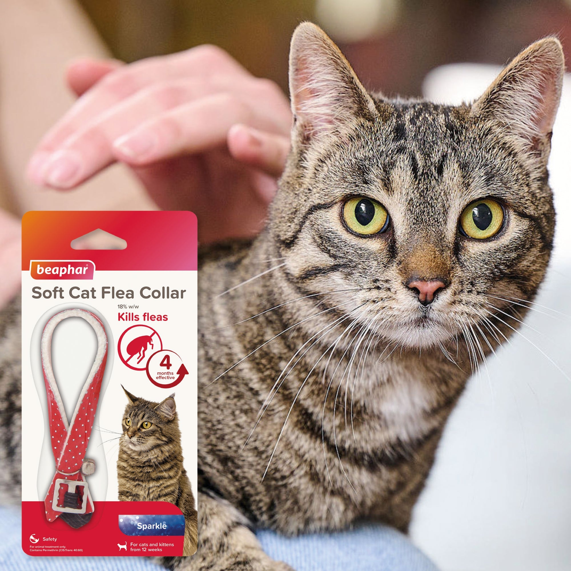 Picture of Cat Flea, Worm & Tick Control | Anti-Parasite Treatment | Pet ...