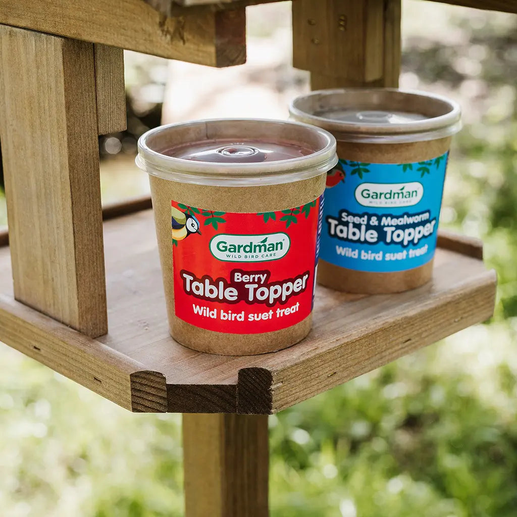 Gardman | Wild Bird Food | Berry Table Topper Tub