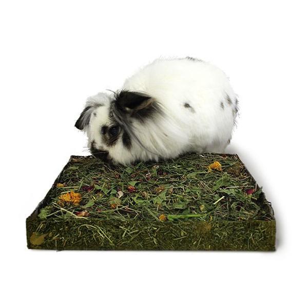 Rosewood Naturals Nibble & Dig Meadow Box - Edible Foraging & Digging Toy for Small Pets