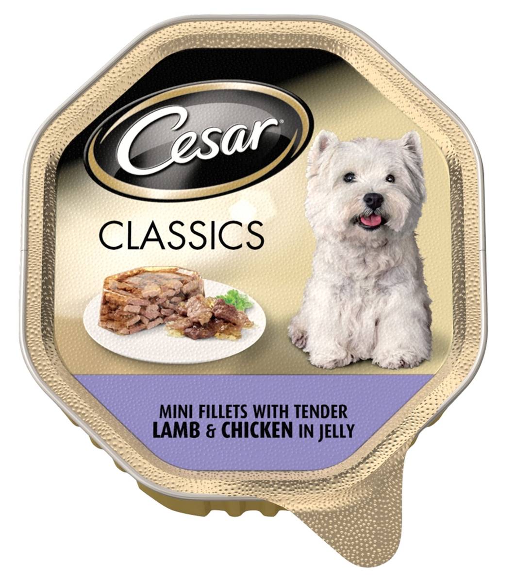 Cesar Classics | Wet Dog Food | Lamb and Chicken - 150g