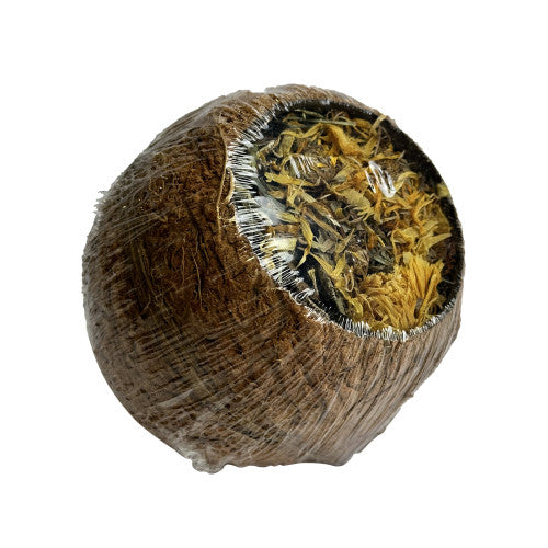 Forage Filled Coconut Small Pet Treat | Natural Enrichment for Rabbits & Small Animals