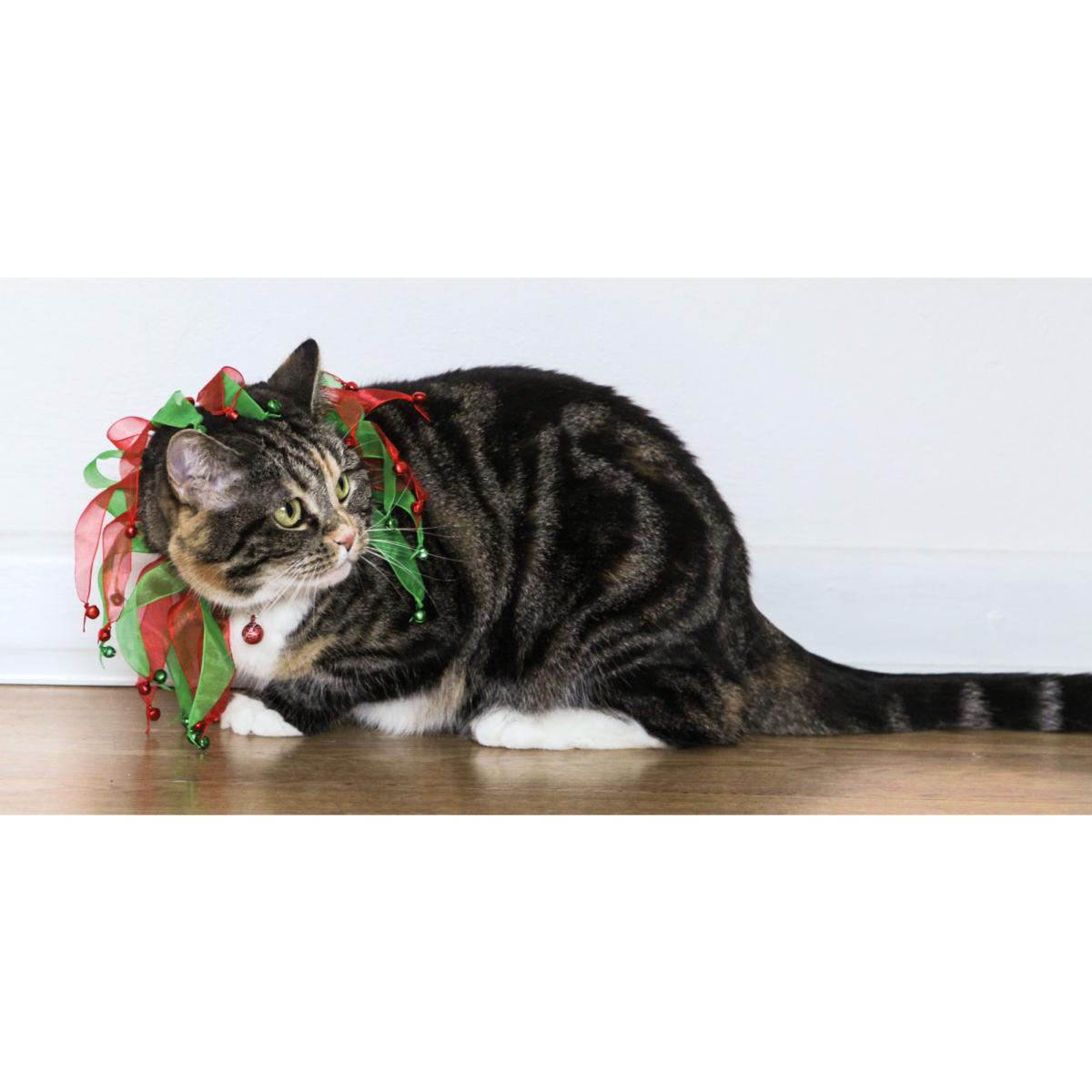 Cupid & Comet | Scrunchy Christmas Ribbon | Cat Collar