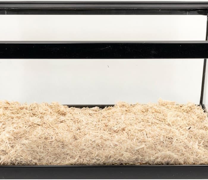 ProRep Aspen Snake Bedding 10L | Natural Reptile Substrate | Ireland & UK