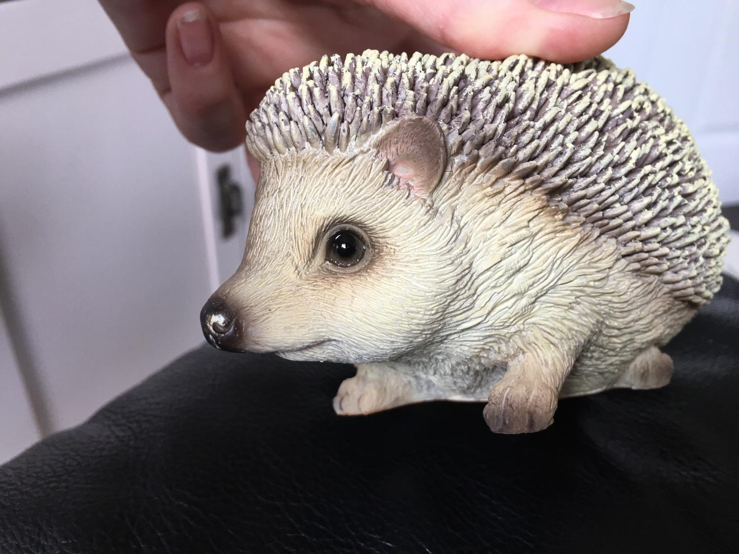 Vivid Arts Pet Pals Pygmy Hedgehog