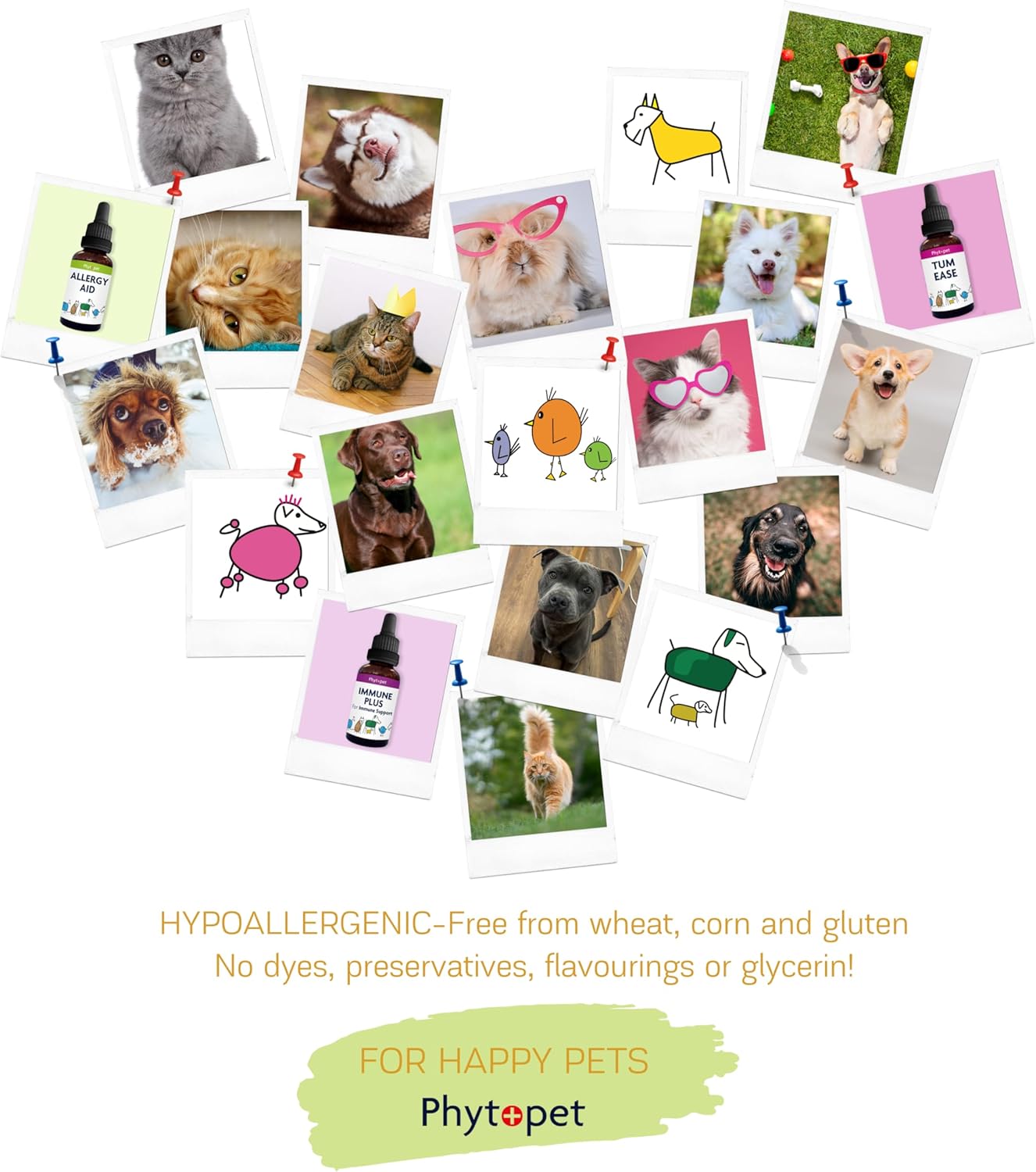 Phytopet | Natural Herbal Remedy | Farm & Yard Chicken Squits - 50ml