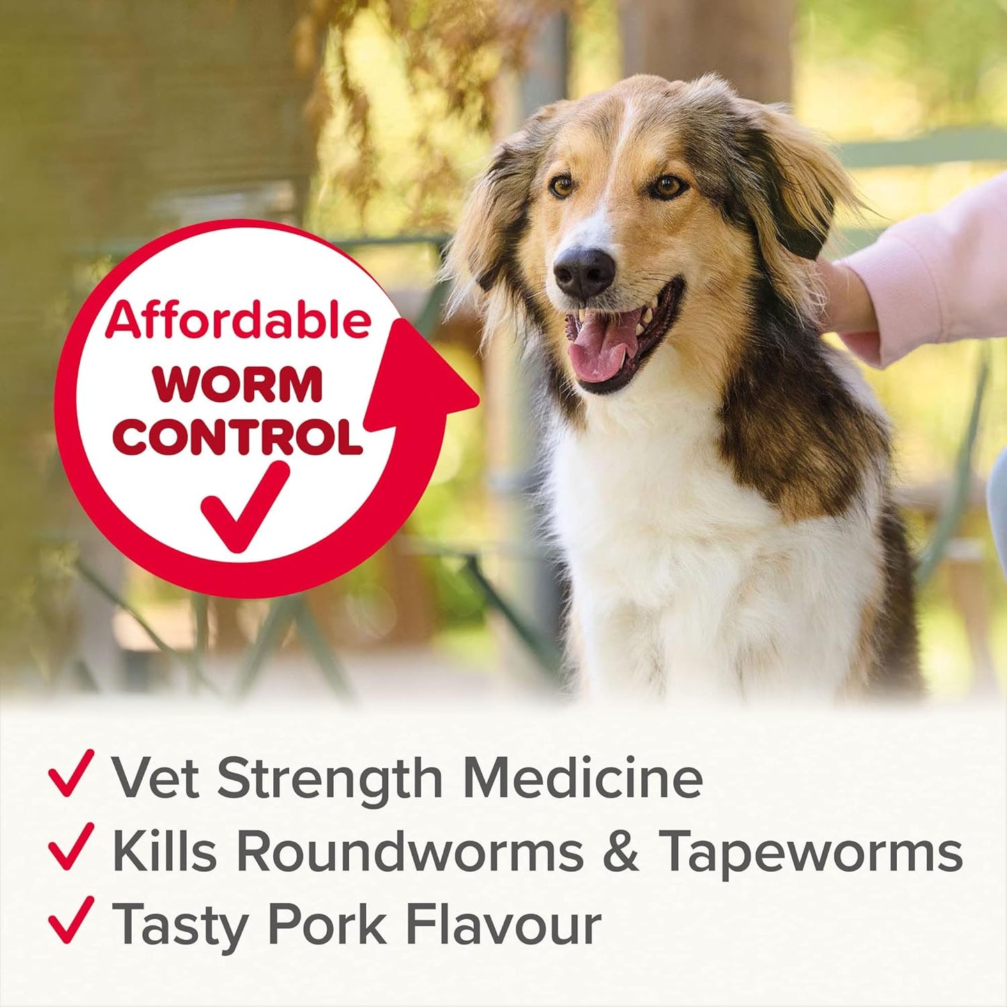 Worming Tablets | Dog Worm Control | Beaphar Wormclear