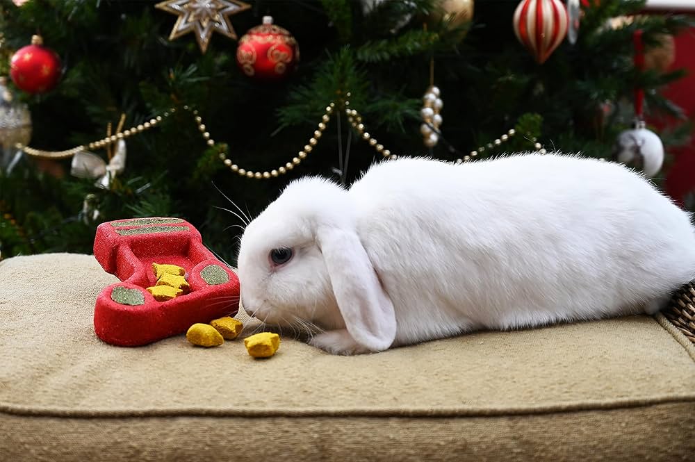 Christmas Stocking Puzzle | Festive Small Pet Chew Toy by Cupid & Comet