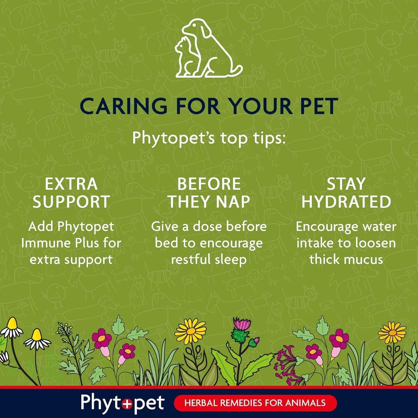 Green background with text and illustrations about caring for pets using Phytopet products.