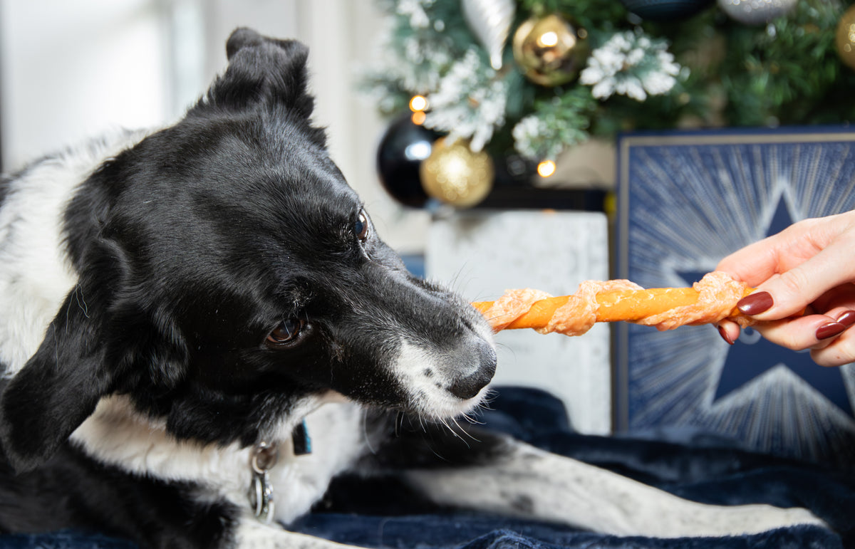 Rosewood Jumbo Turkey Wrapped Carrot Stick Dog Chew | 70g - 23cm