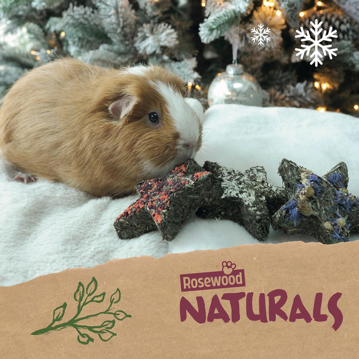 Natural Herb 'n' Hay Star Trio 🎄 Small Pet Christmas Treat by Cupid & Comet