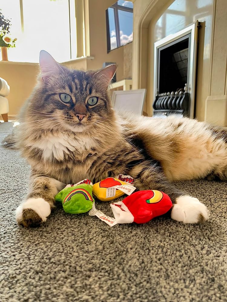 Kitten Mittens | Catnip Soft Toy by Yeowww!