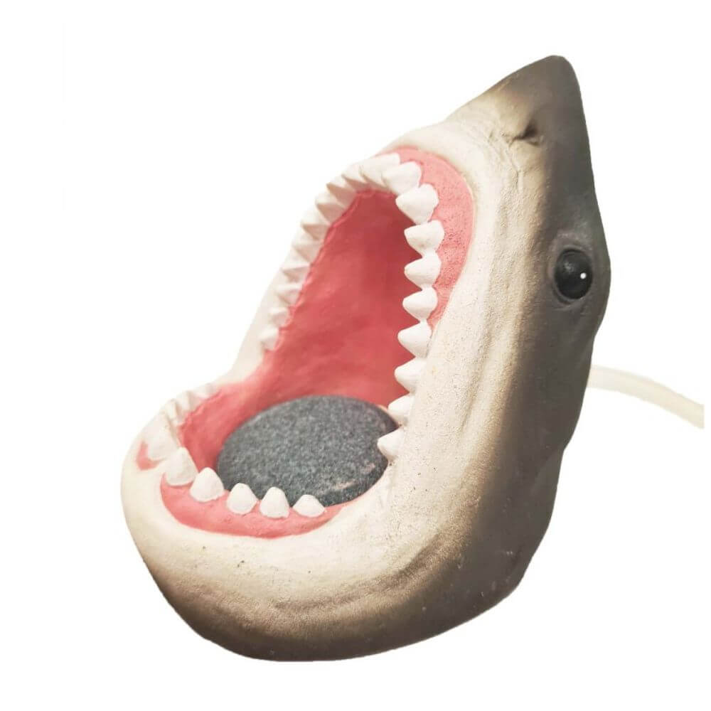 Betta Sharks Mouth With Airstone