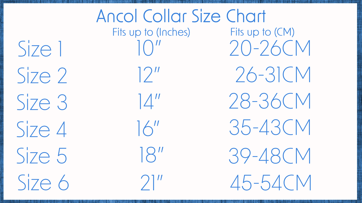 Ancol | Luxury Leather Sewn Dog Collar | Red