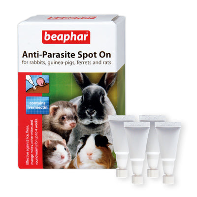 Beaphar Large Anti-Parasite Spot On | Flea, Mite & Worm Treatment for Small Animals