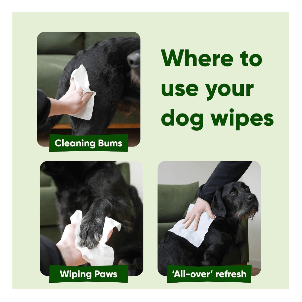 Beco Bamboo Wipes Unscented 80pk