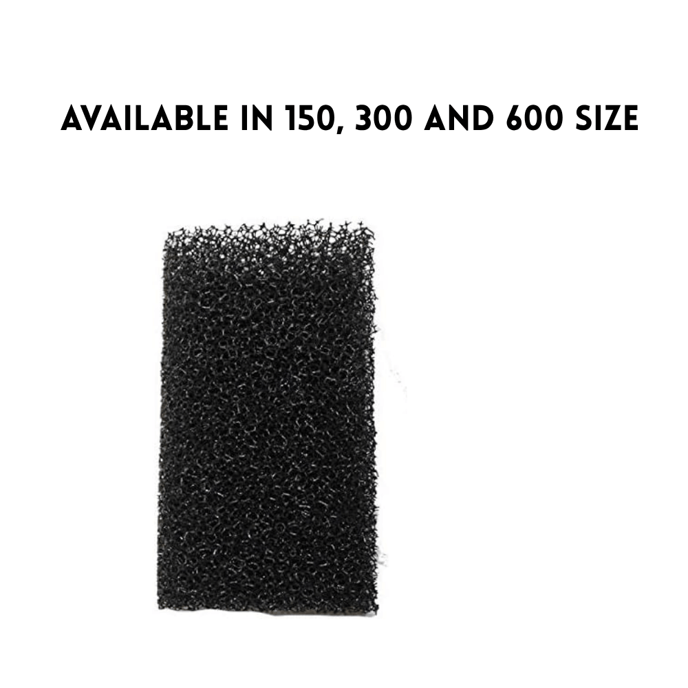 Betta Internal Sponge