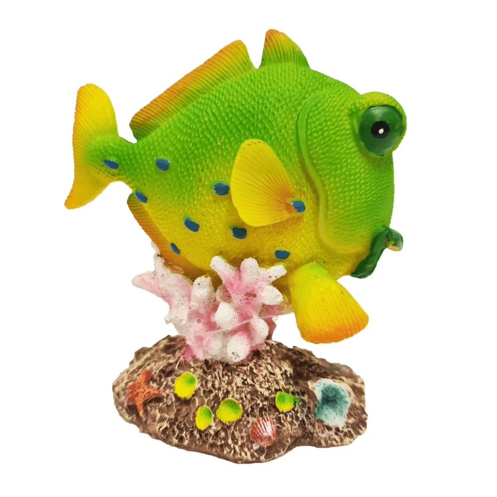 Betta Yellow Fish On Coral