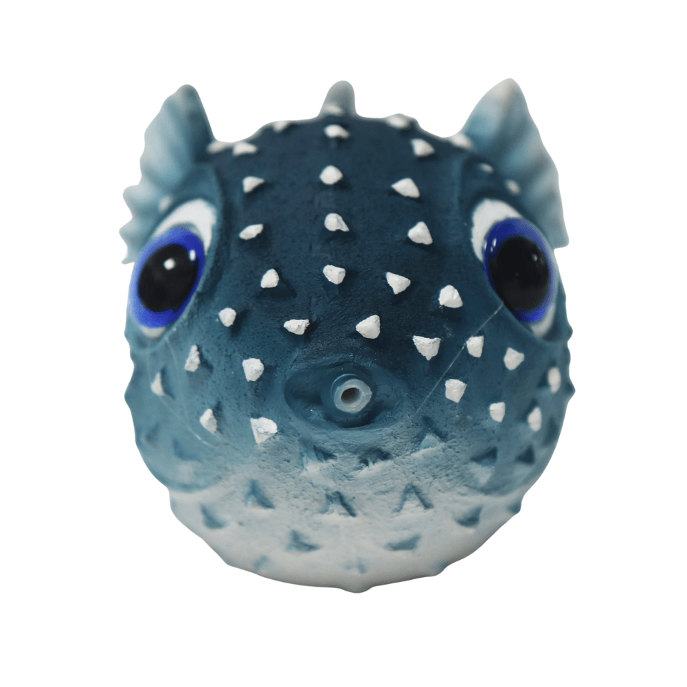 Betta Blue Puffer Fish