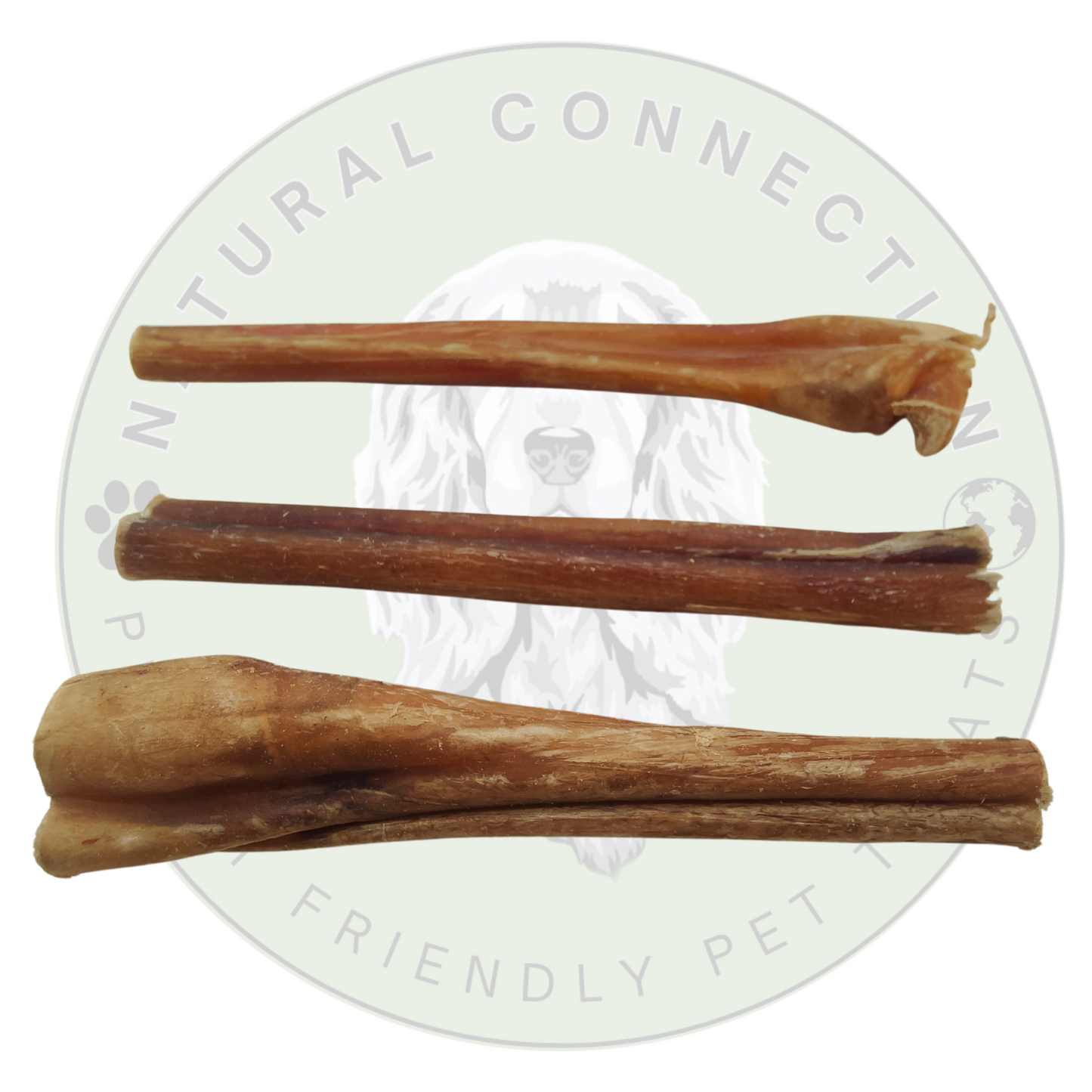 Bully Pizzle Stick | Dog Chew | Low Odour, High Quality Treats by Natural Connection