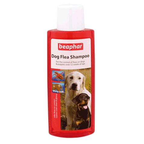 Beaphar | Dog Flea Control | Shampoo - 250ml