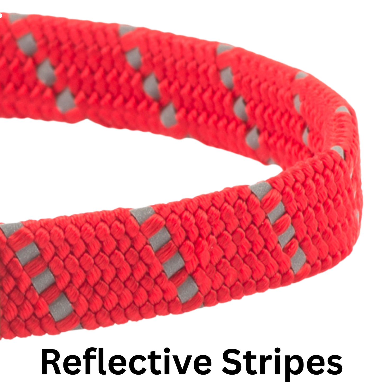 Red cat collar with reflective stripes on a white background