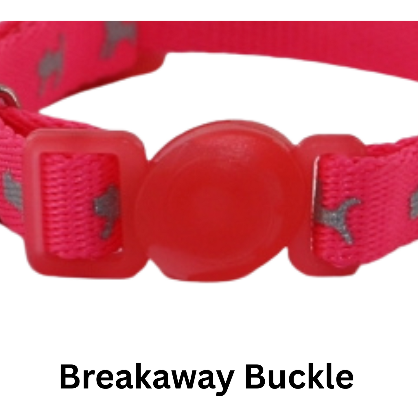 Neon pink kitten collar with breakaway collar.