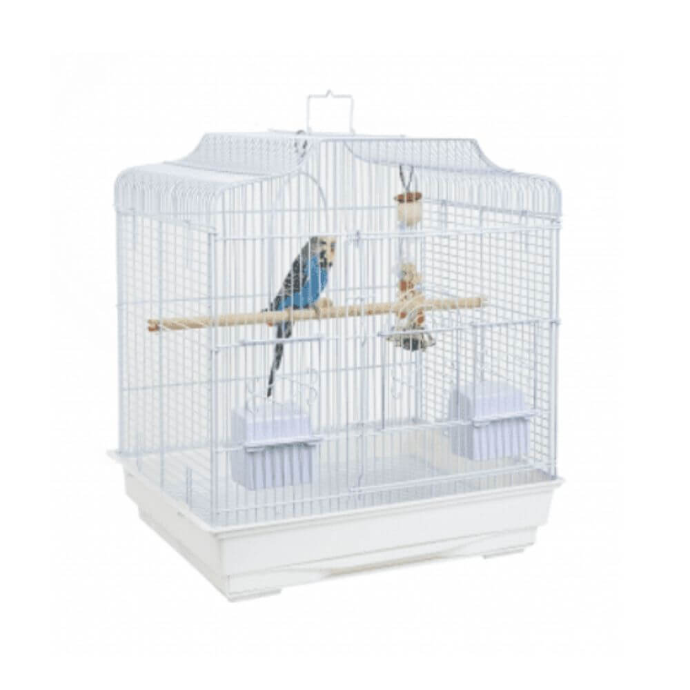 RC Costa Rica White Bird Cage