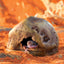 Exo Terra Terrestrial Gecko Cave Hide