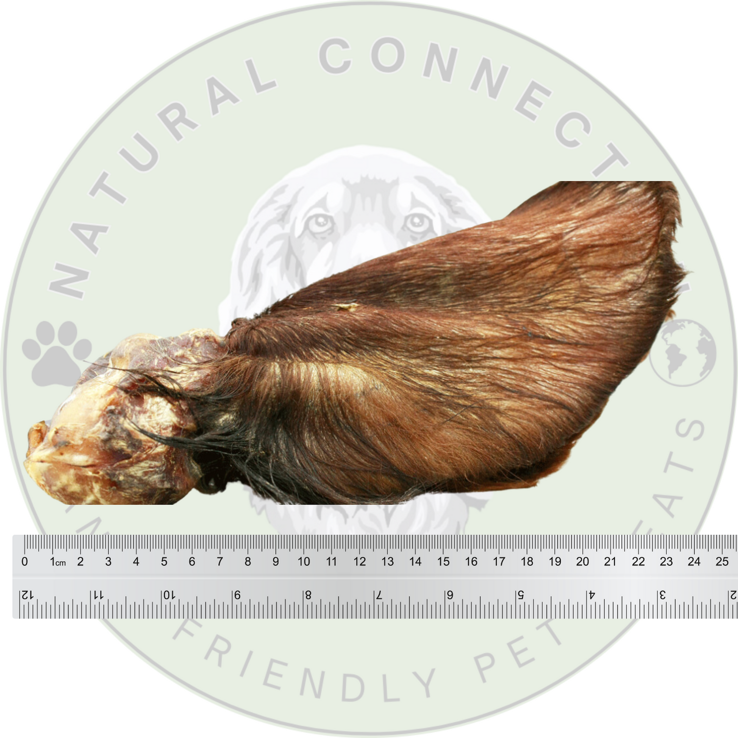 Hairy Veal Ear | Premium Quality Large Dog Chew by Natural Connection