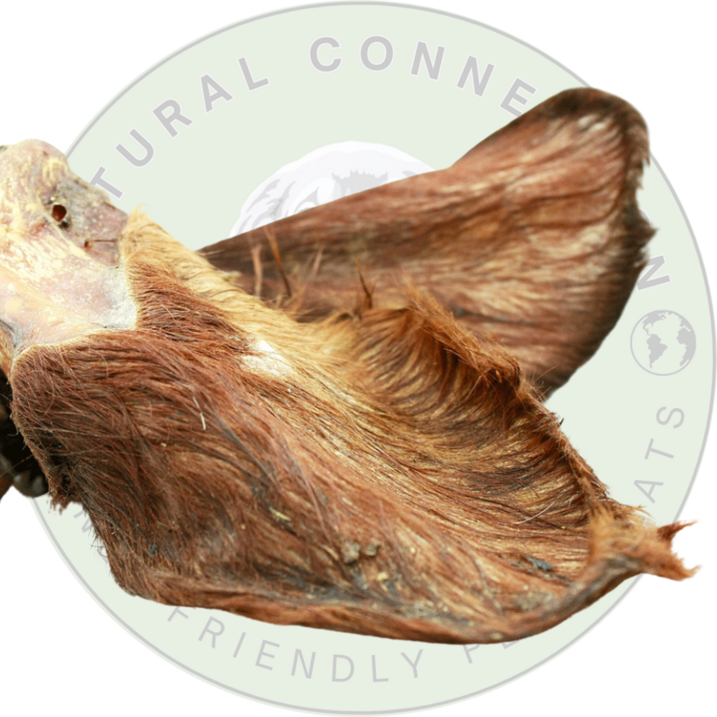 Hairy Veal Ear | Premium Quality Large Dog Chew by Natural Connection