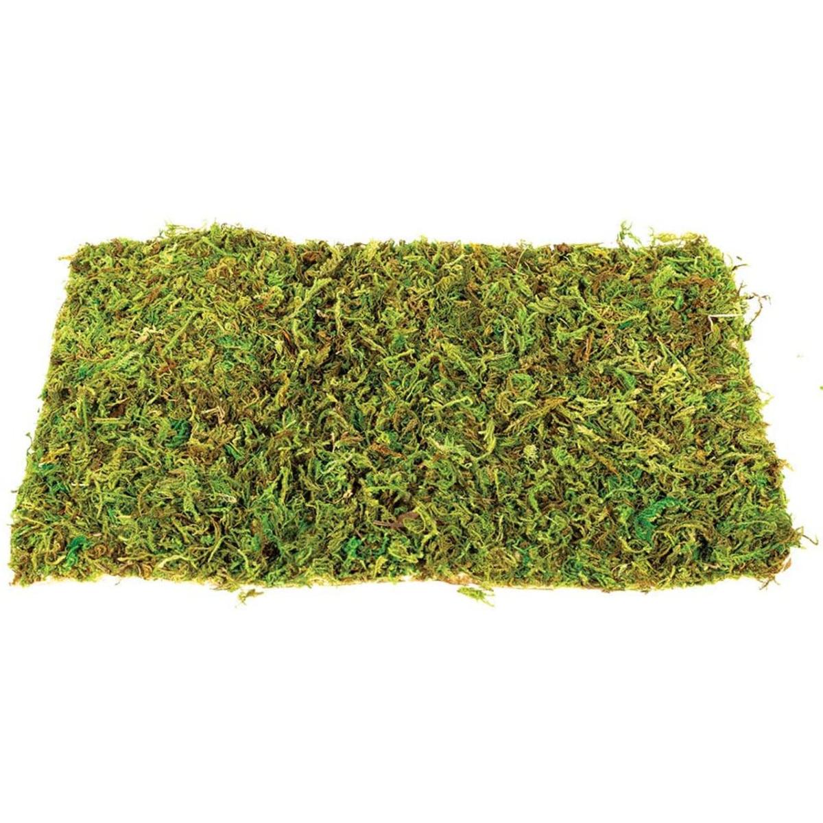 Happy Pet Natural Moss Mat