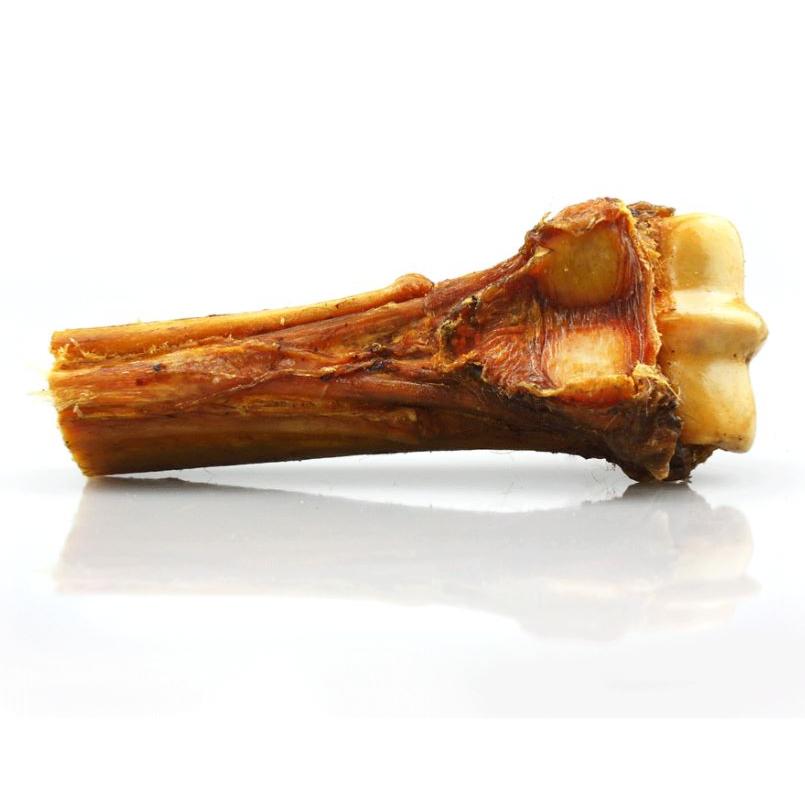 Pets Best Natural Dog Chew | Horse Bone with Tendon 18cm