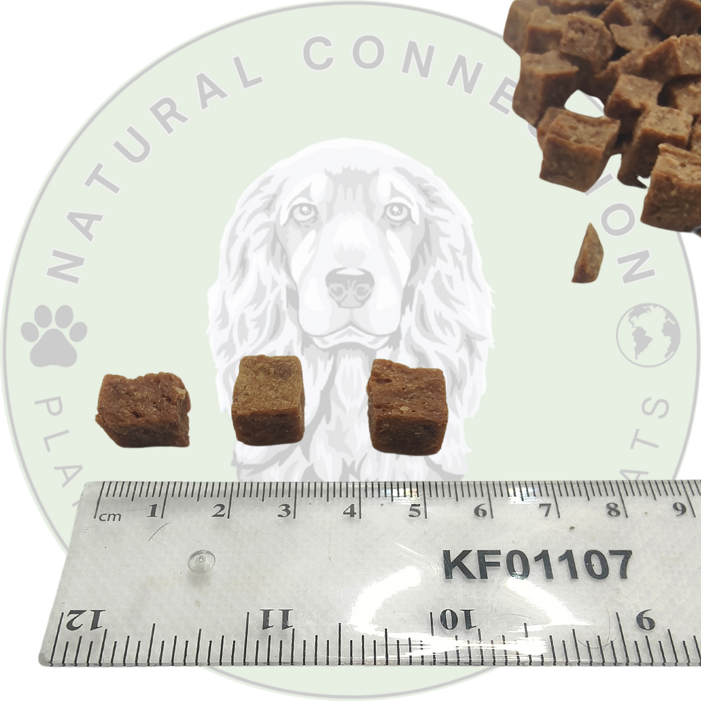 Horse Meat Trainer Bites | Bitesize Crunchy Meaty Dog Treats by Natural Connection