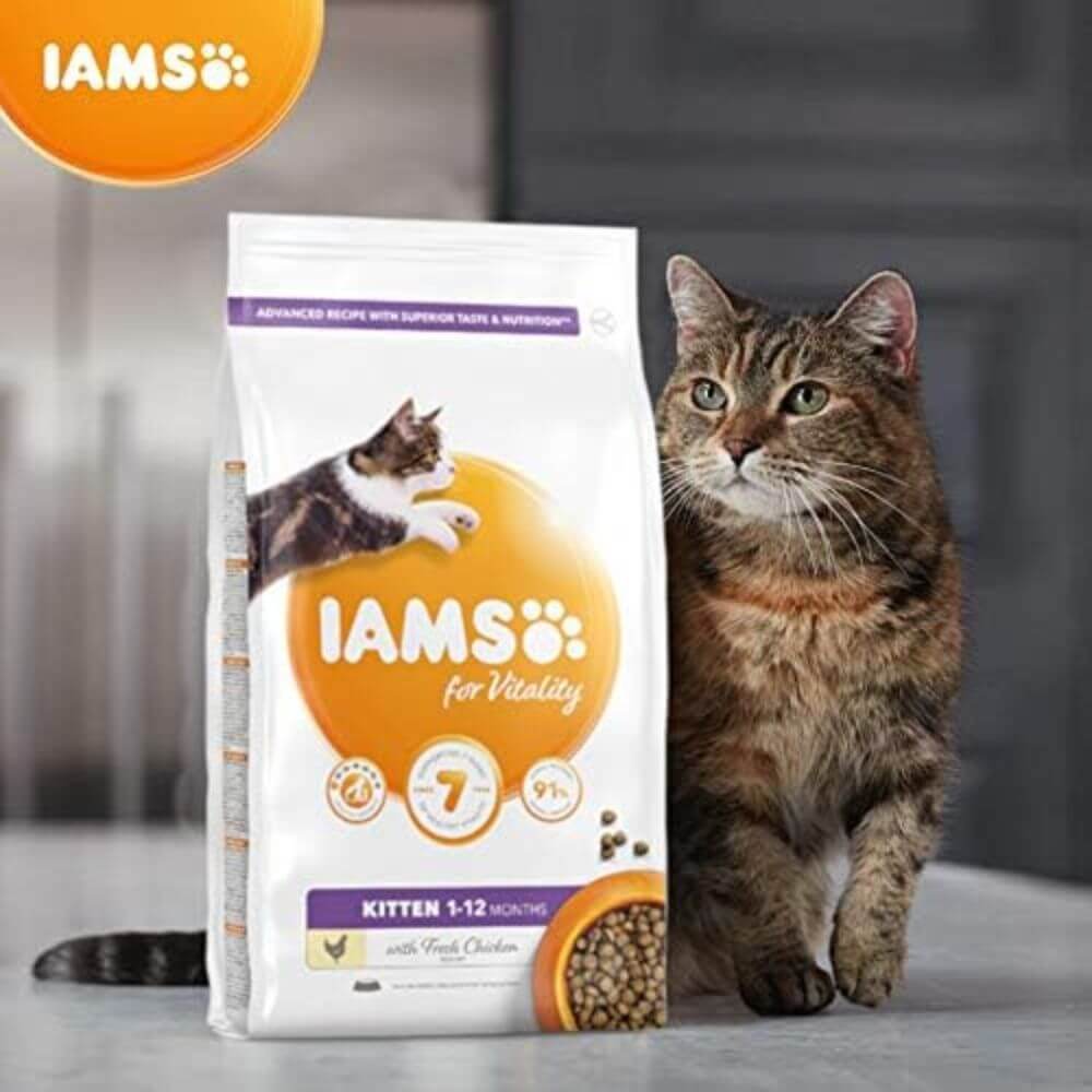Iams Dry Cat Food Kitten 2kg