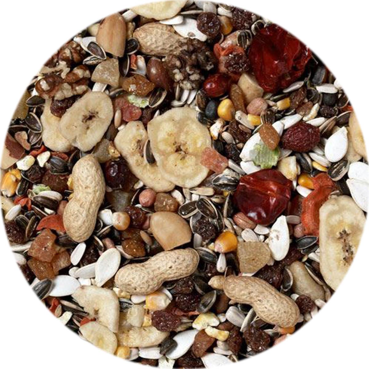 J&J Premium Parrot Fruit Blend Pet Connection