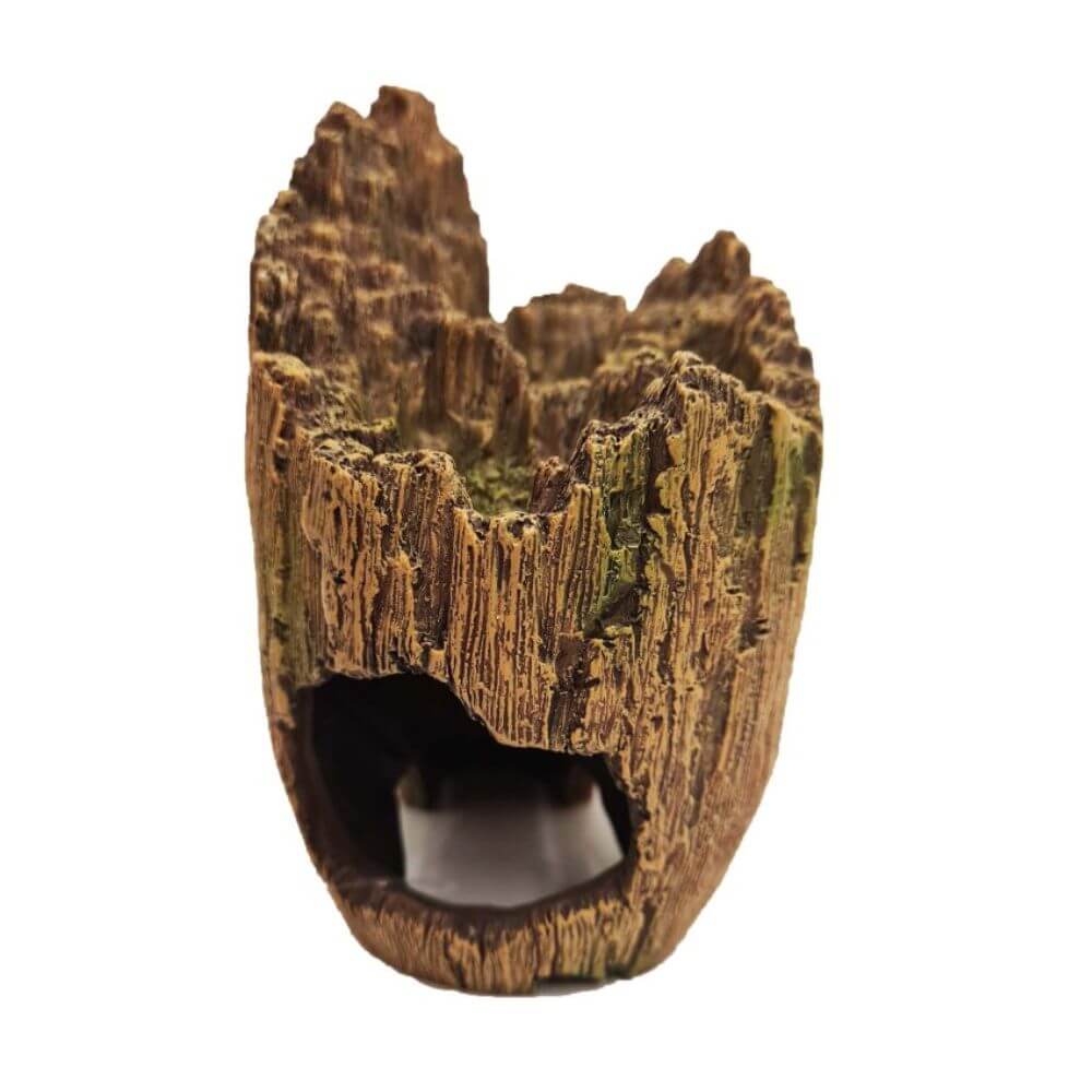 Betta Wood Effect Skull