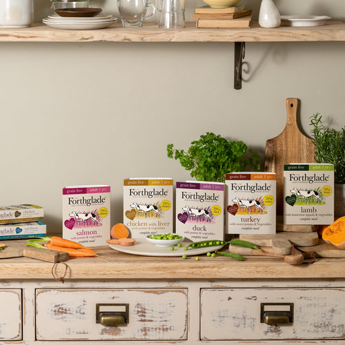 Forthglade | Grain Free Natural Complete Wet Dog Food Tray | Duck & Vegetables - 395g