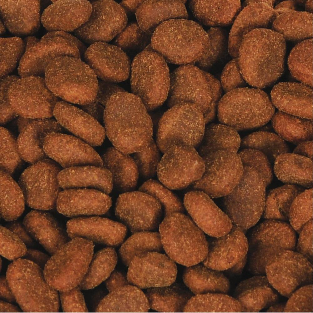 ORIJEN | 85:15 Adult Grain Free Dry Dog Food | Six Fish