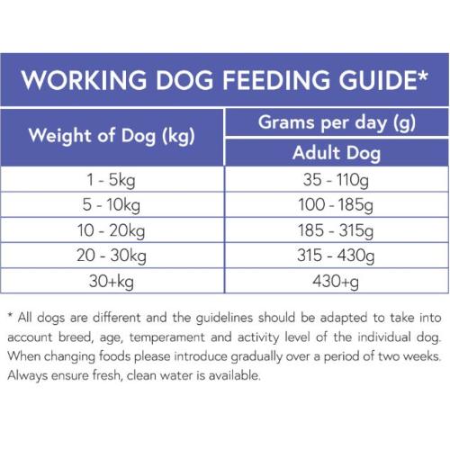 Pet Connection Super Premium | Hypoallergenic Dry Dog Food  | VAT Free | Working Dog Adult | Salmon & Potato