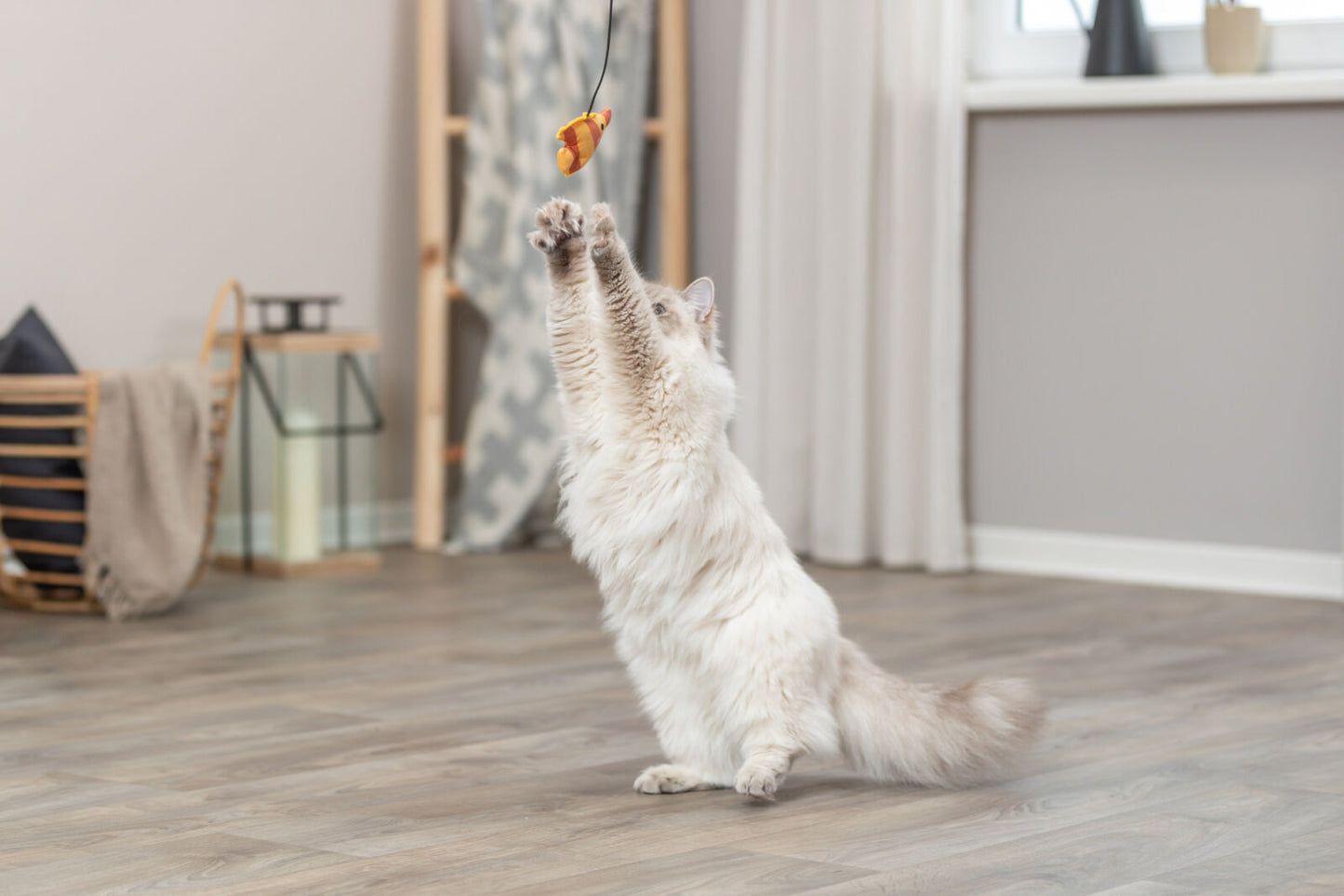 Trixie Cat Playing Rod with Soft Fish Toy