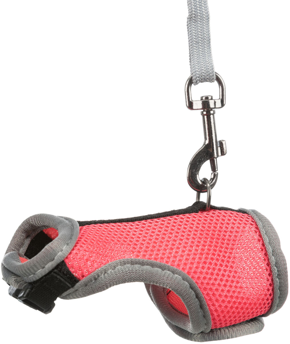 Trixie | Small Pet Enrichment | Soft Rat Harness with Lead