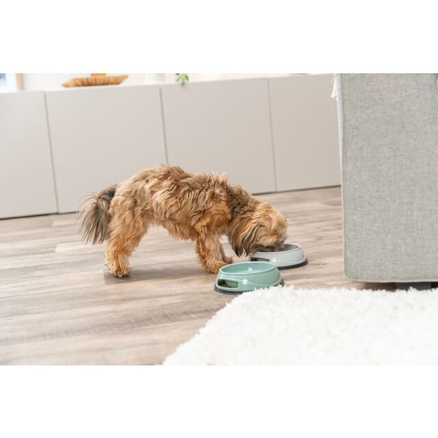 Trixie Bowl With Rubber Ring, Plastic, 0.3 Litre
