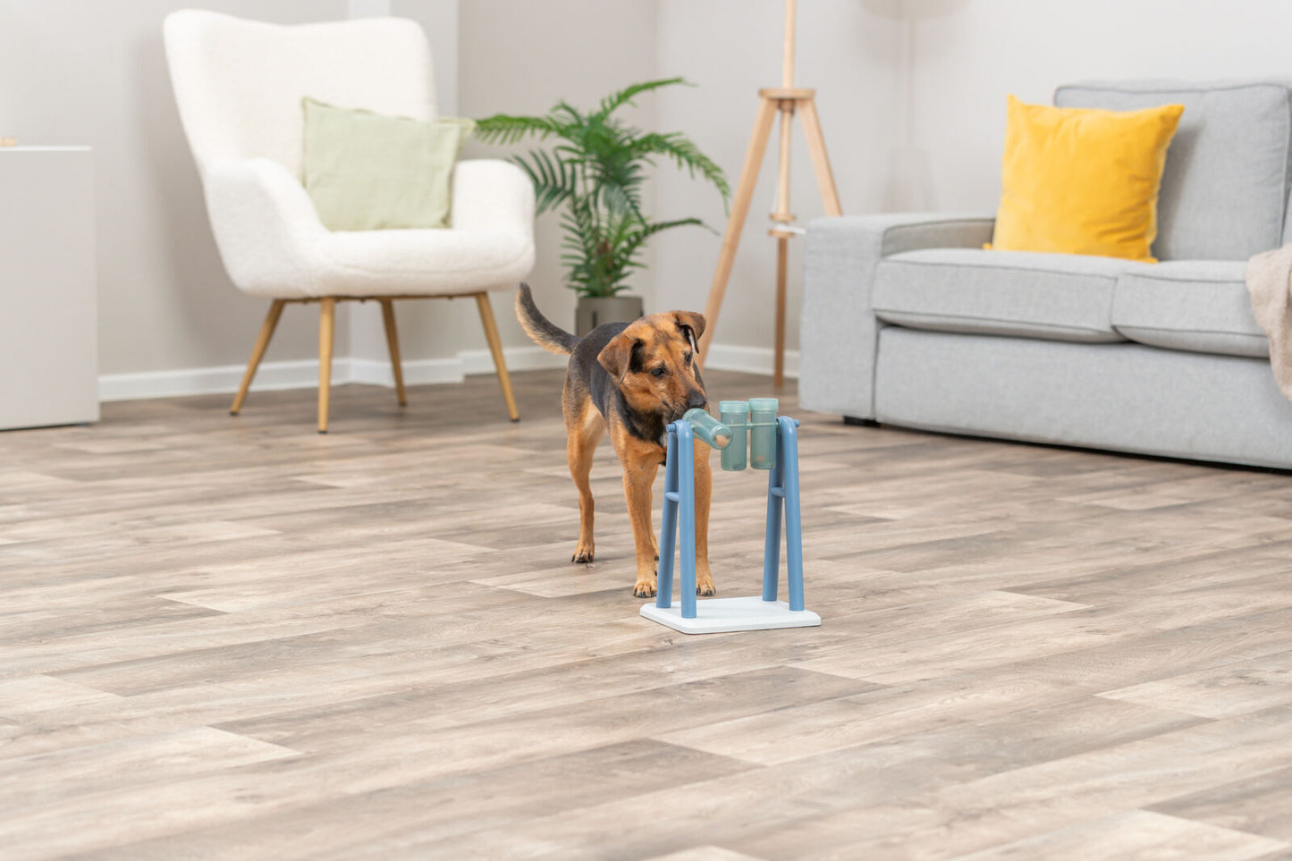 Trixie Turn Around Strategy Game (Level 2) | Dog Puzzle Toy