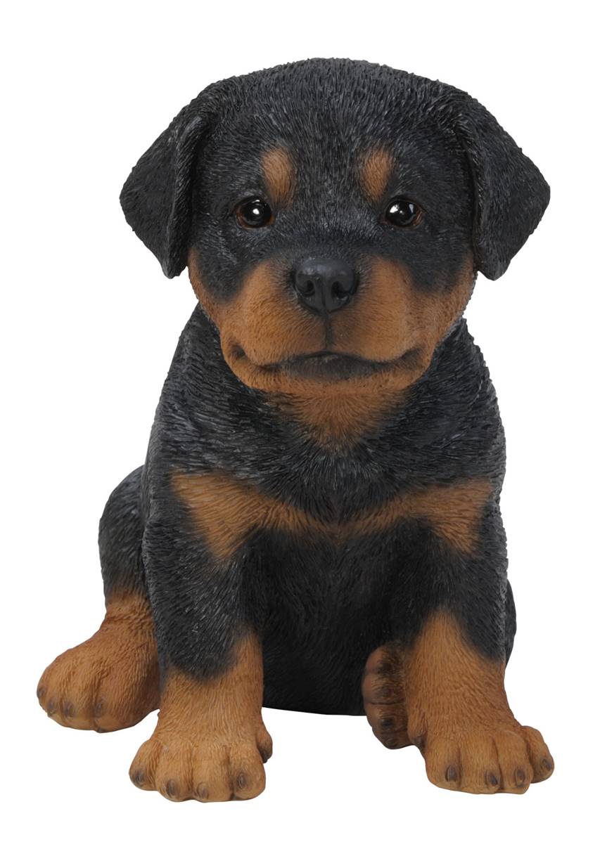 Vivid Arts Pet Pal Dogs Rottweiler Puppy