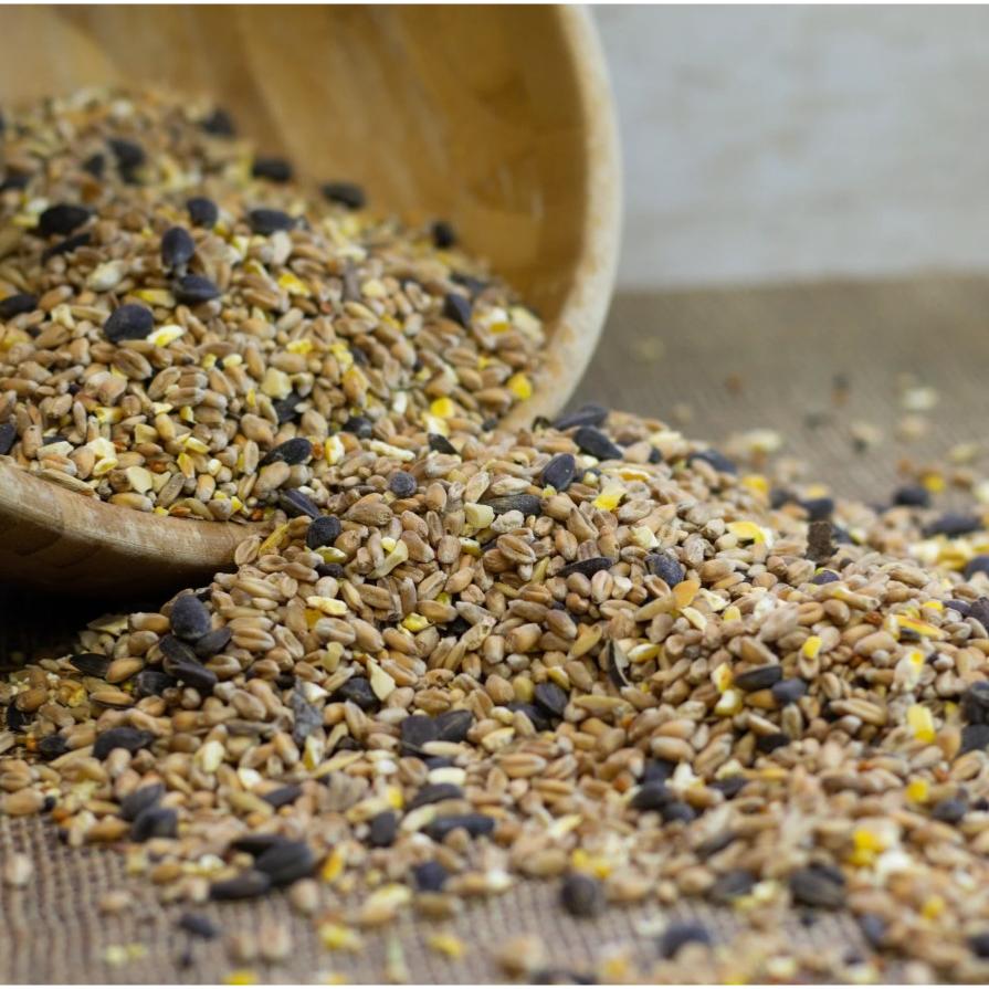 Peckish | Wild Bird Food | Natural Balance Seed Mix