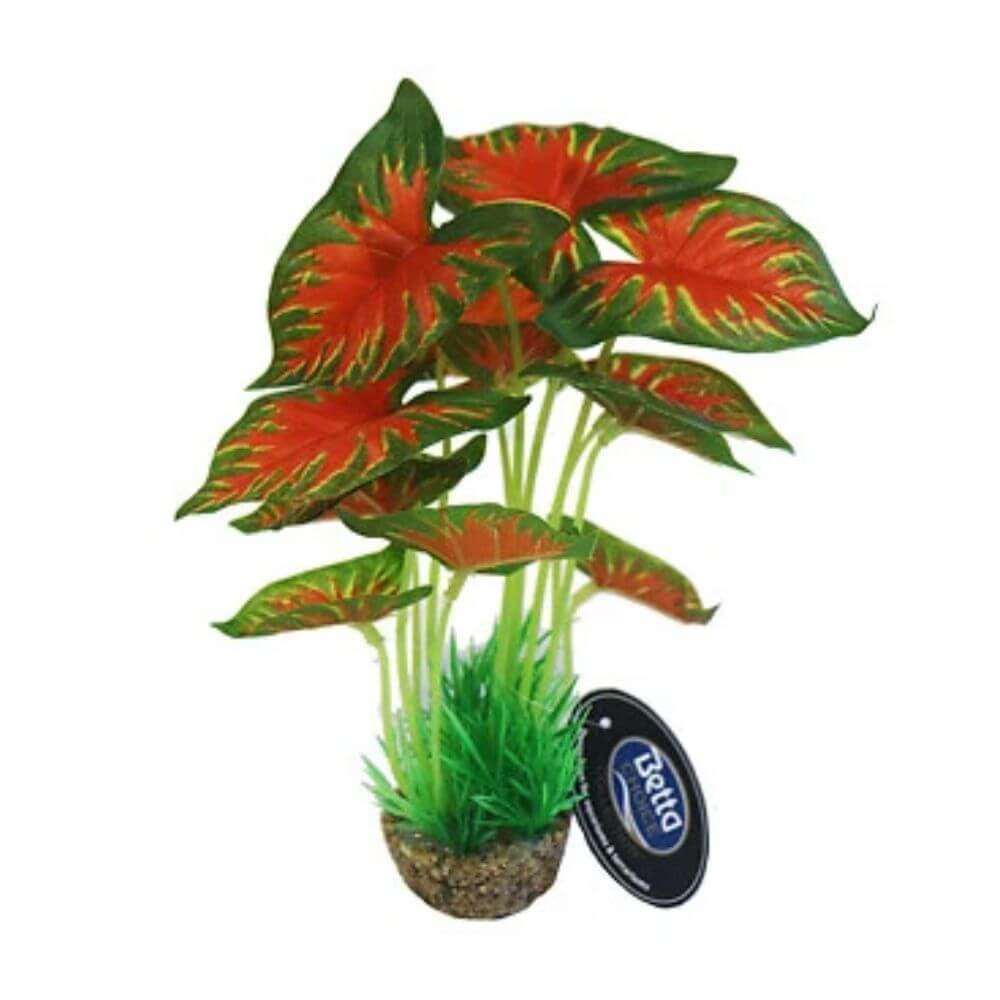 Betta Choice 8" Red & Green Plant