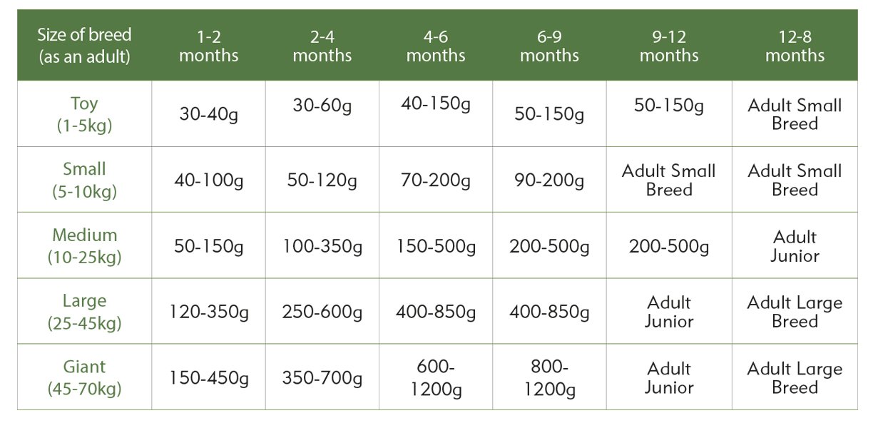 Clinivet Poultry Puppy ๐ Hypoallergenic Dry Dog Food