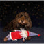Cupid & Comet | Christmas Dog Toy | Jolly Santa