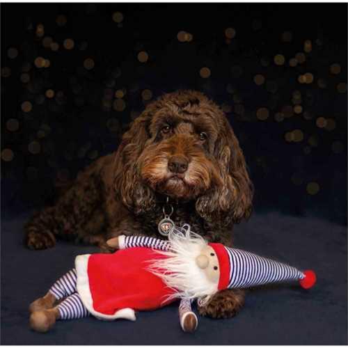 Cupid & Comet Jolly Santa | Christmas Dog Toy