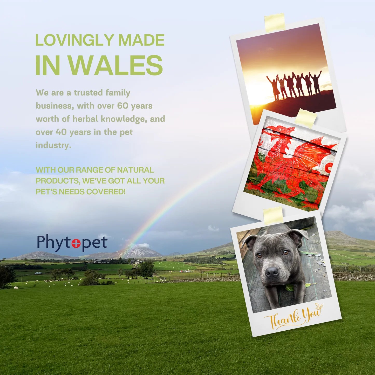 Phytopet | Natural Herbal Remedy | Farm & Yard Chicken Squits - 50ml